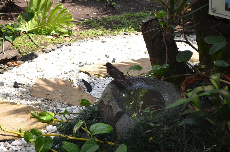 Hotel Aromax Del Campestre メデジン エクステリア 写真